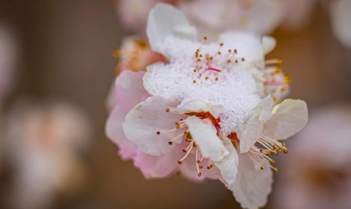 �����������ů��мs����Ԋ�箋������