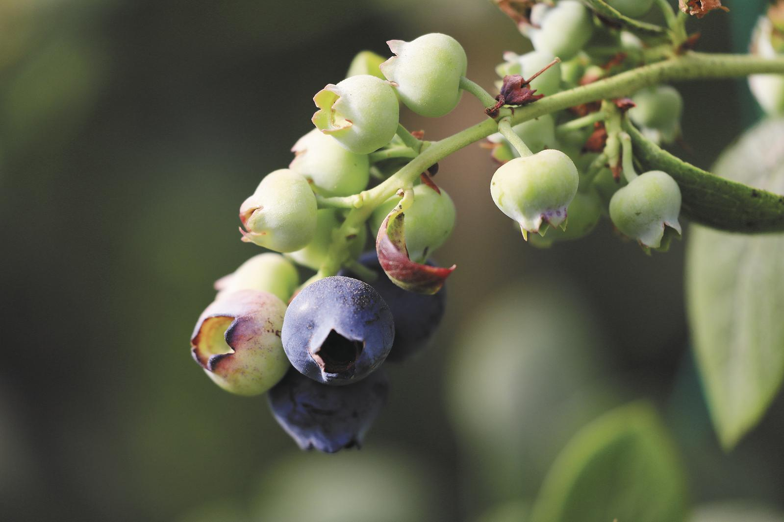 ΢�ňDƬ_20260322062131_663_174