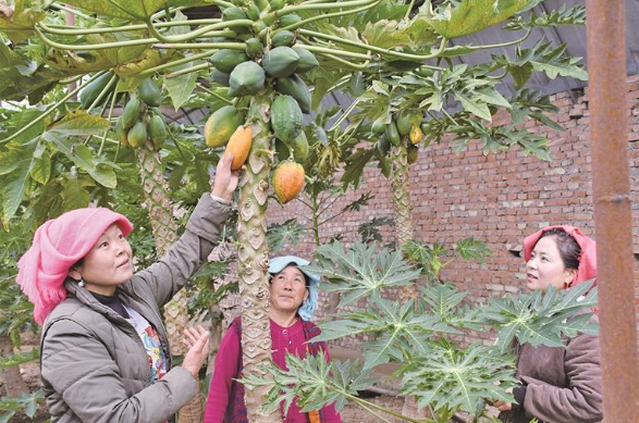 ���������ɽ�������һ�ӱ�ˮ��(r��n)���� �p�򱼸���δ��(l��i)�����S���ݼ����h�`�С���ɽ�������(sh��)��(xi��)�S�Ӱ��������´��