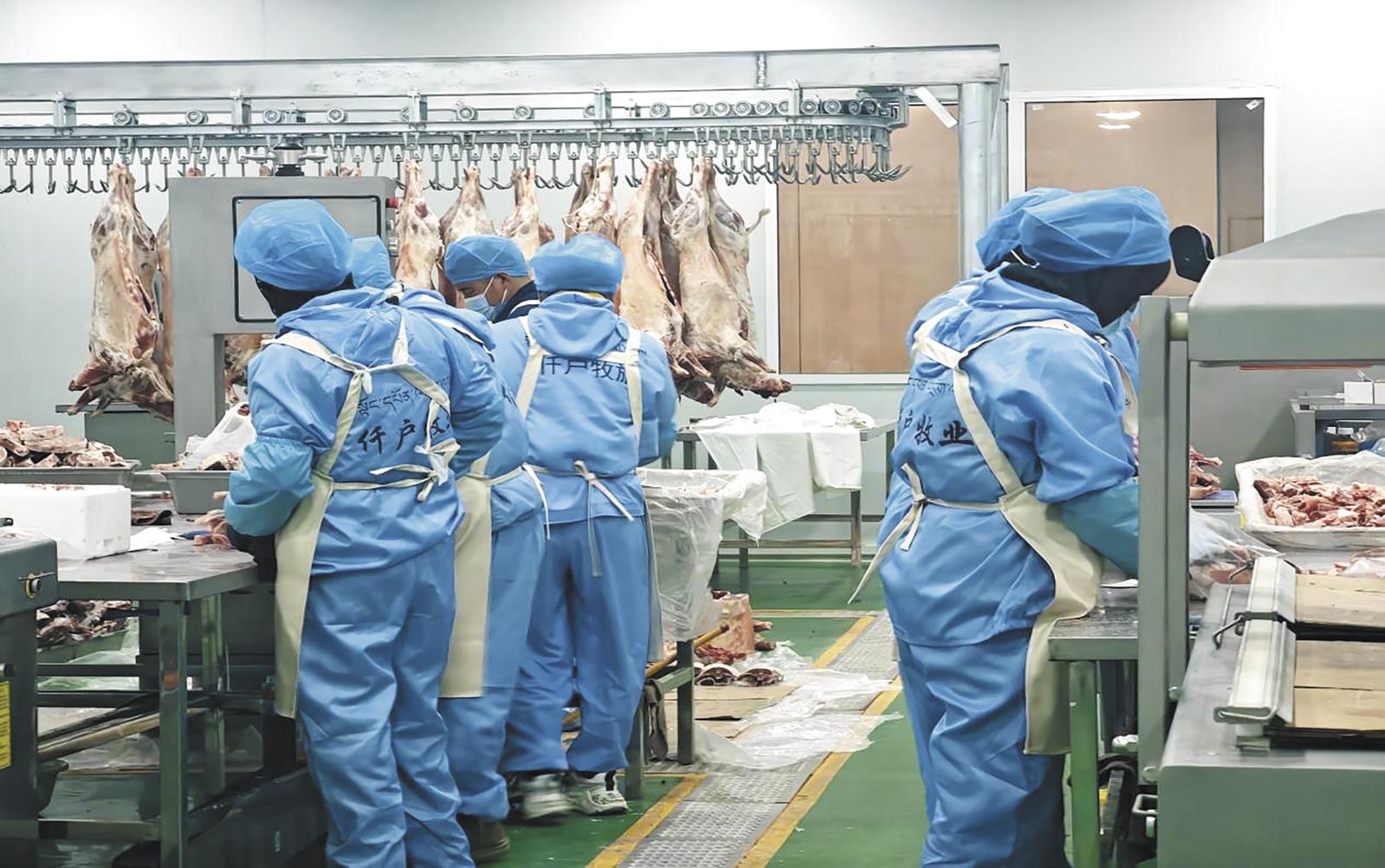 ���ഺ�o(w��)η ��(chu��ng)�I(y��)��·��������������������