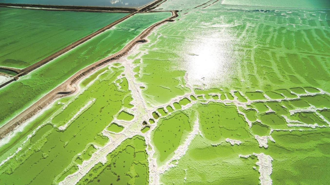 ���r�� ������ ���I(y��)�����|(zh��)���l(f��)չ�{(di��o)���С��ġ��}��Ʒ�ƿ��ຣ�}���a(ch��n)�I(y��)�S��֮·