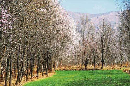 ���|��̤���p��ϵ�л���ڻ�¡���_�Ļ һ�����ӳ���� ʮ���ӻ�ӭ�́�