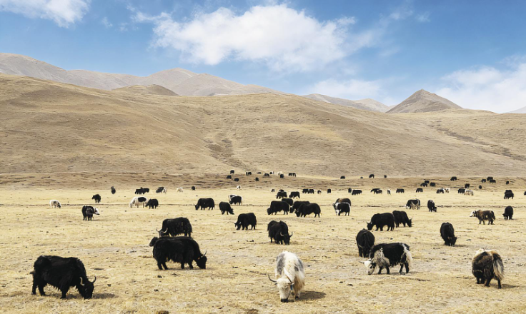 ���r�����������I(y��)�����|���l(f��)չ�{���С�һ�� һ�� һ�a�I(y��)�����ຣ�h�򽛝��l(f��)չ�^�졤ͬ��ƪ