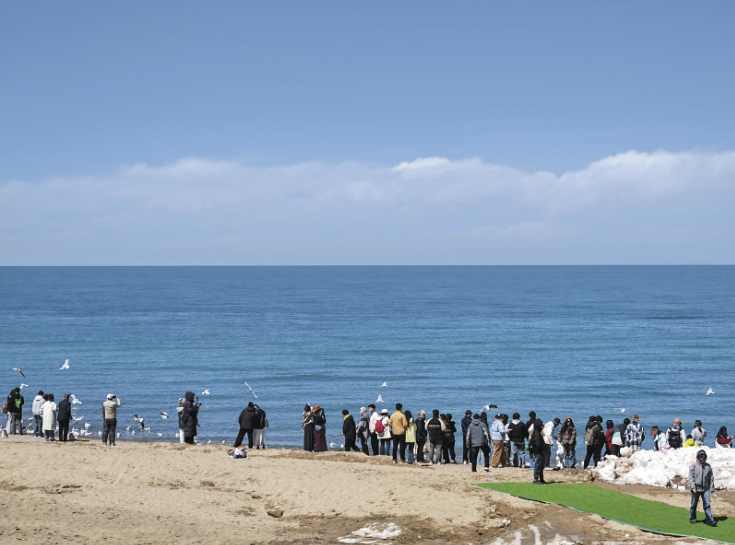 һ���̲��ش�ɫ