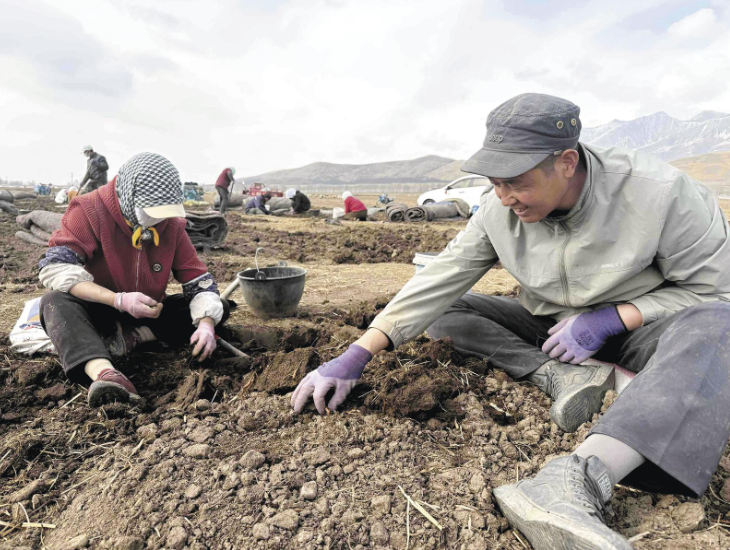 ������� ���l(xi��ng)�����������䡷�����˅�����