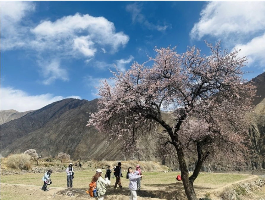 ���f����������̤���p�� ��s�����S��