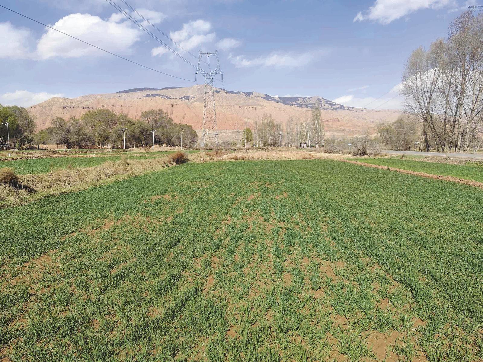 ���������� �S���б���