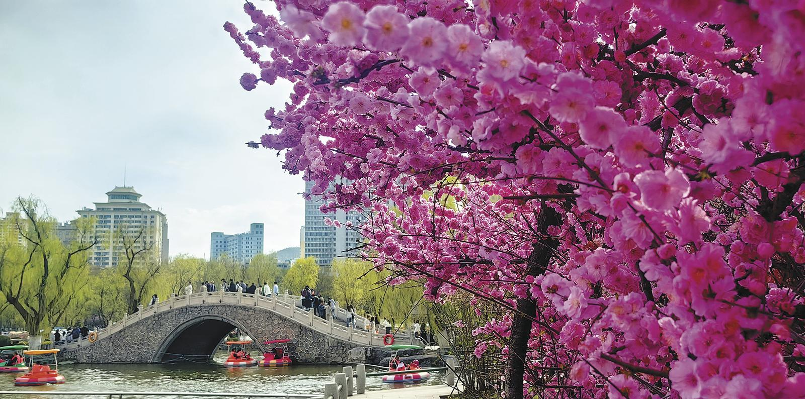 �ຣ�����������ó��m(x��)����