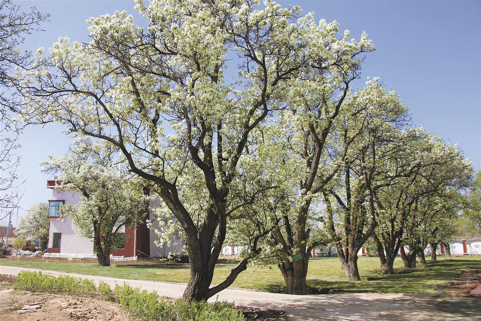 ΢�ňDƬ_20260412064327_712_174